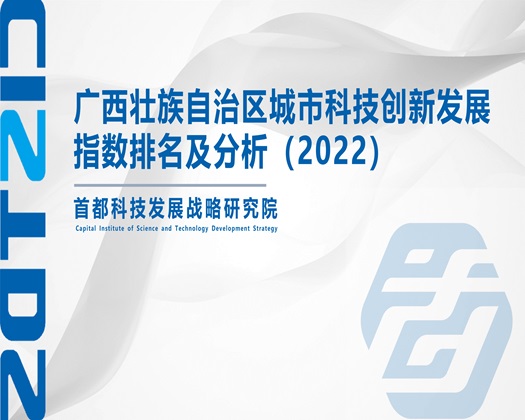 在线艹B视频【成果发布】广西壮族自治区城市科技创新发展指数排名及分析（2022）